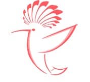 سایت تخفیفان